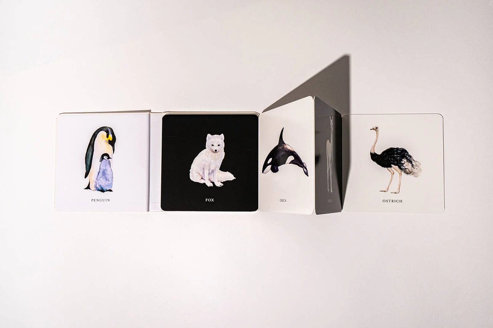 Baby's Black and White Contrast Book - Image 4