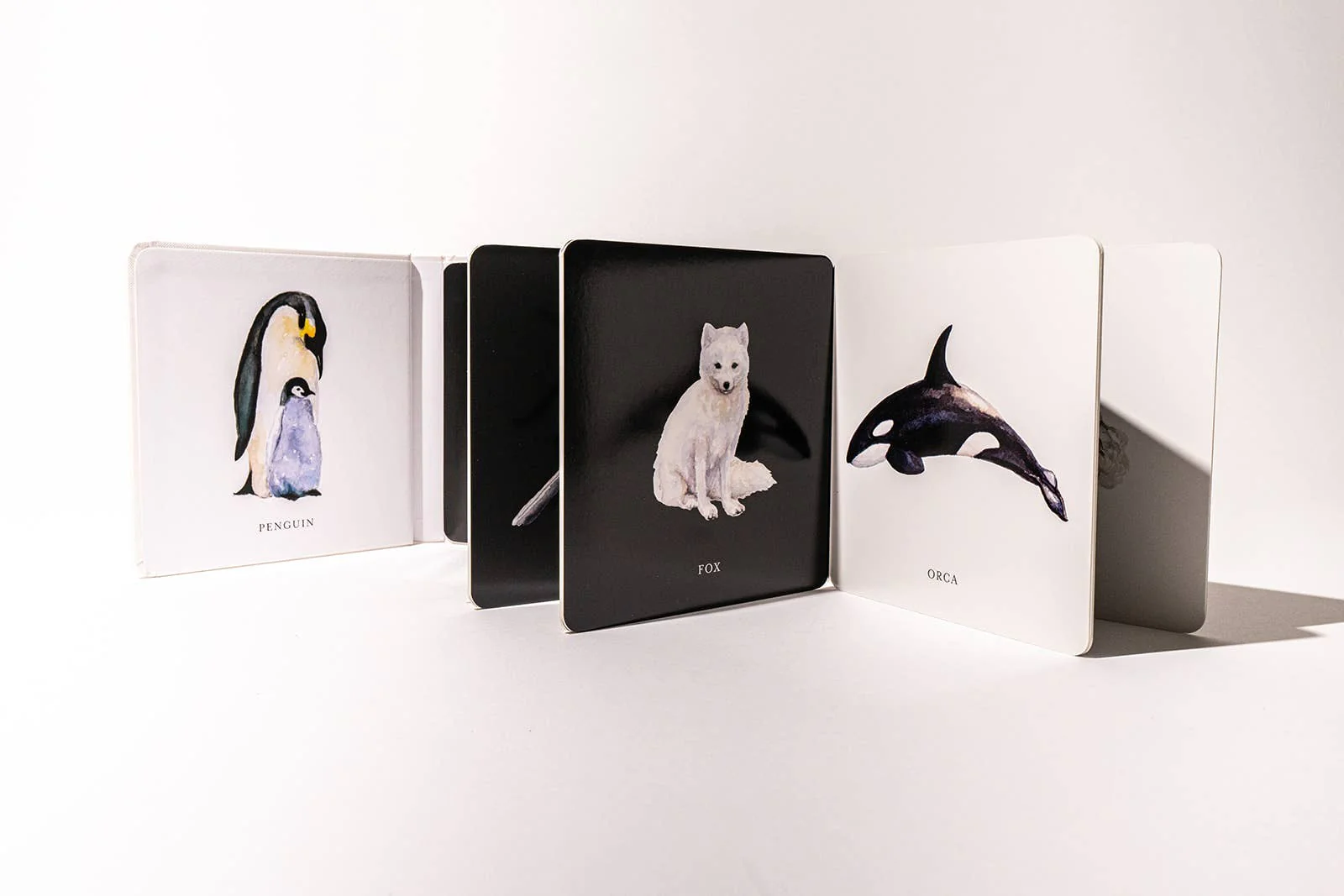 Baby's Black and White Contrast Book - Image 5