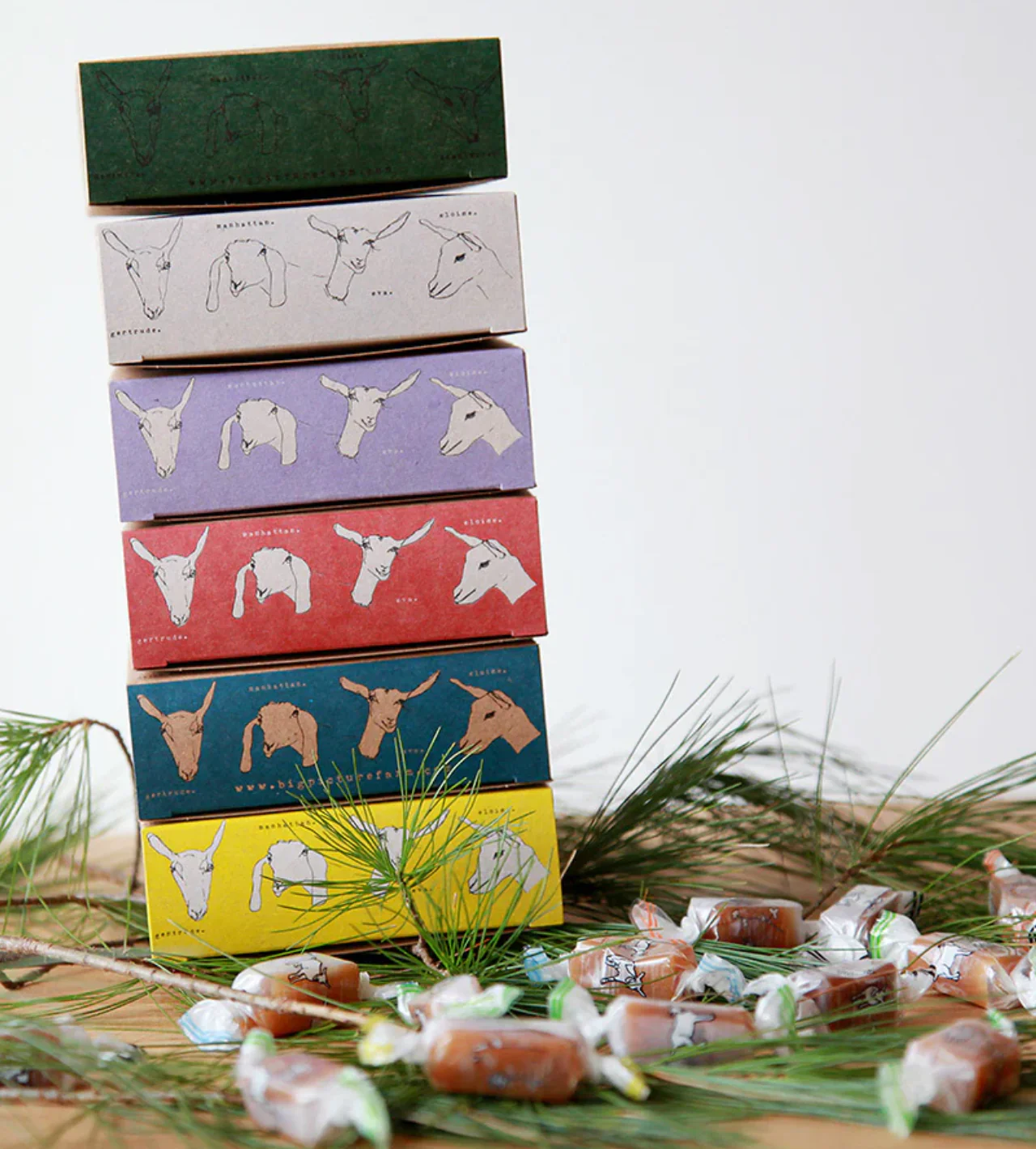 Big Picture Farm - Classic Farm Goat Milk Caramel Boxes: Sea Salt Vanilla - Image 7