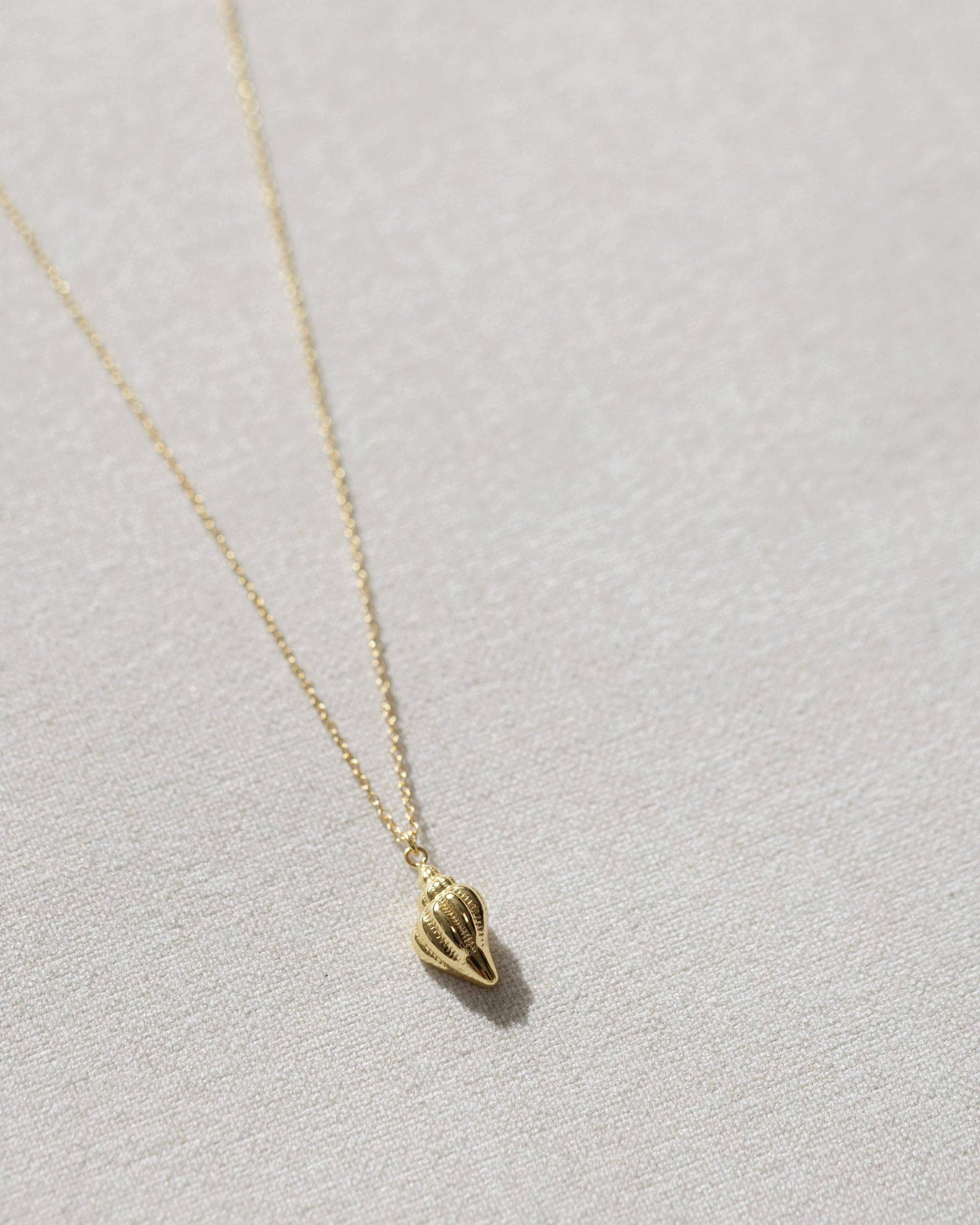 Coast and Cove - Gold Conch Shell Necklace - Image 6