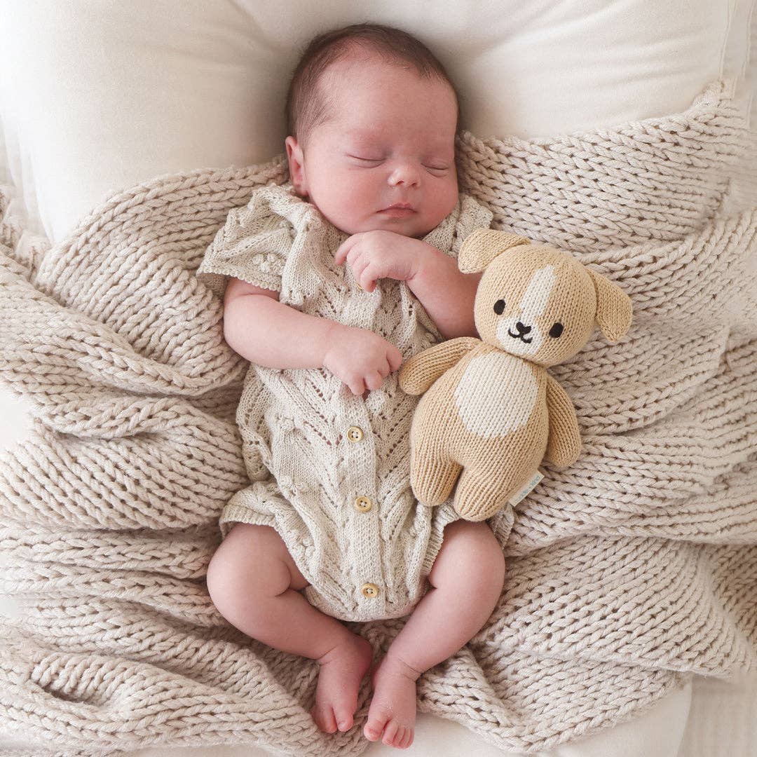 Cuddle +Kind Baby puppy - Image 8