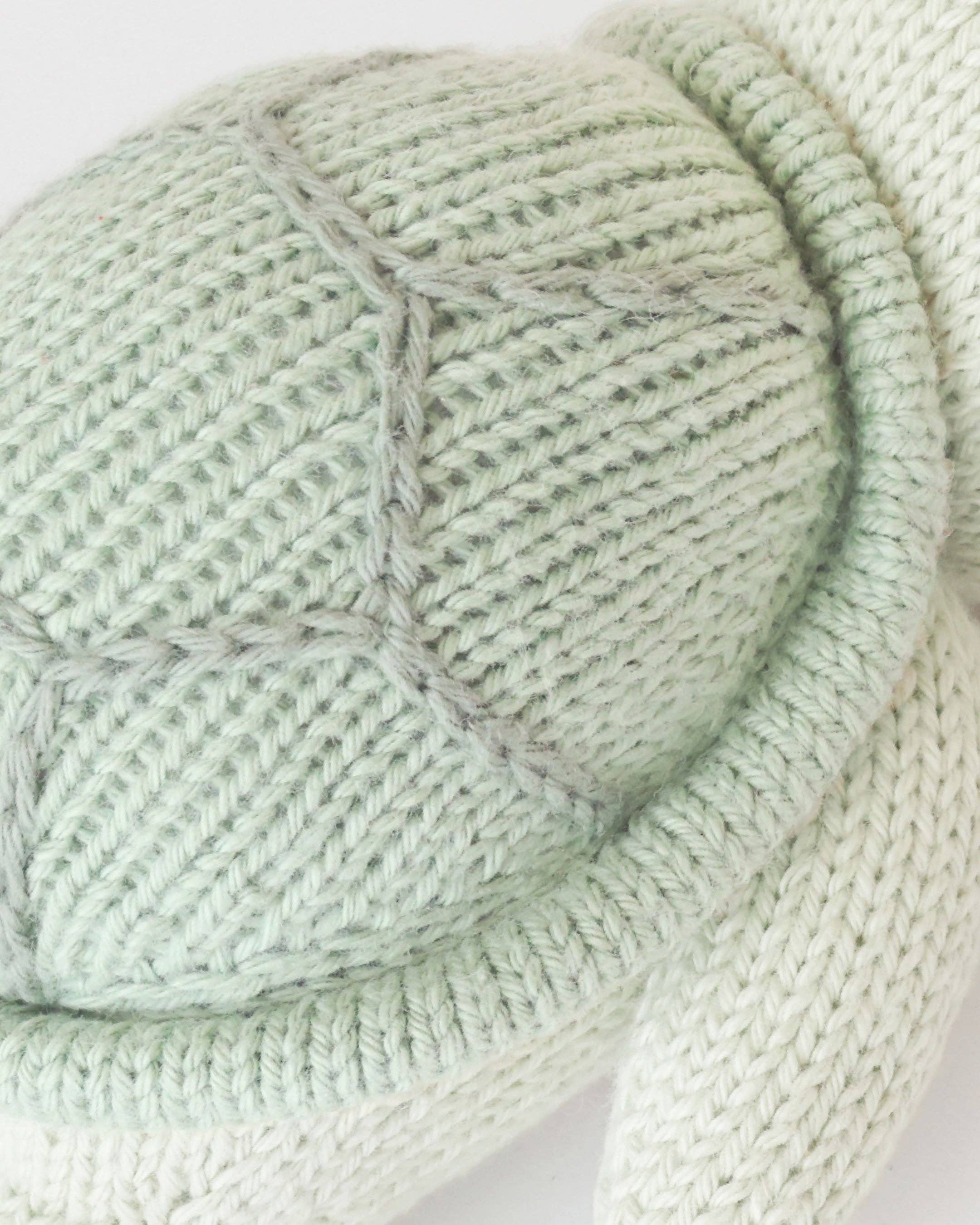cuddle+kind - Baby sea turtle - Image 2