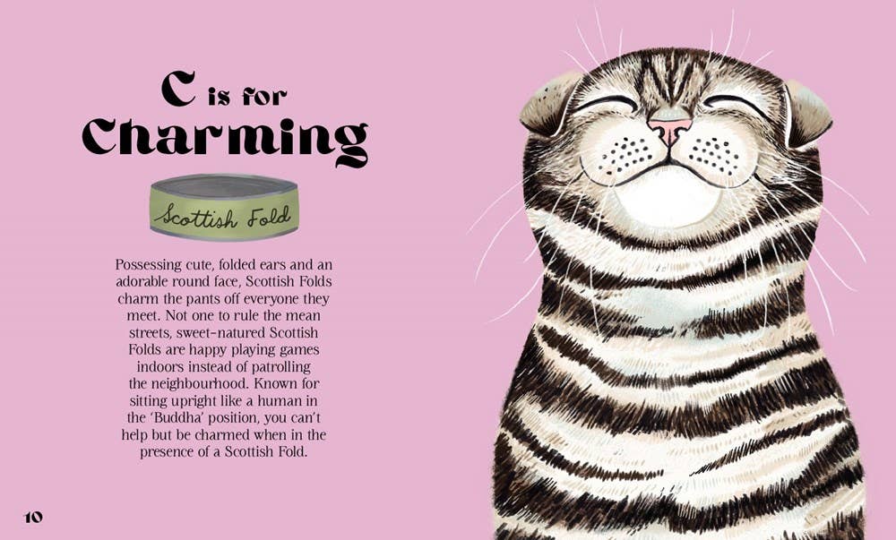 HarperCollins - Catphabet : A Cat Alphabet - Image 2