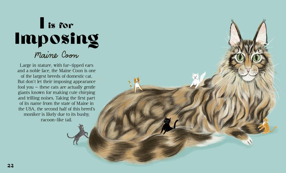 HarperCollins - Catphabet : A Cat Alphabet - Image 3
