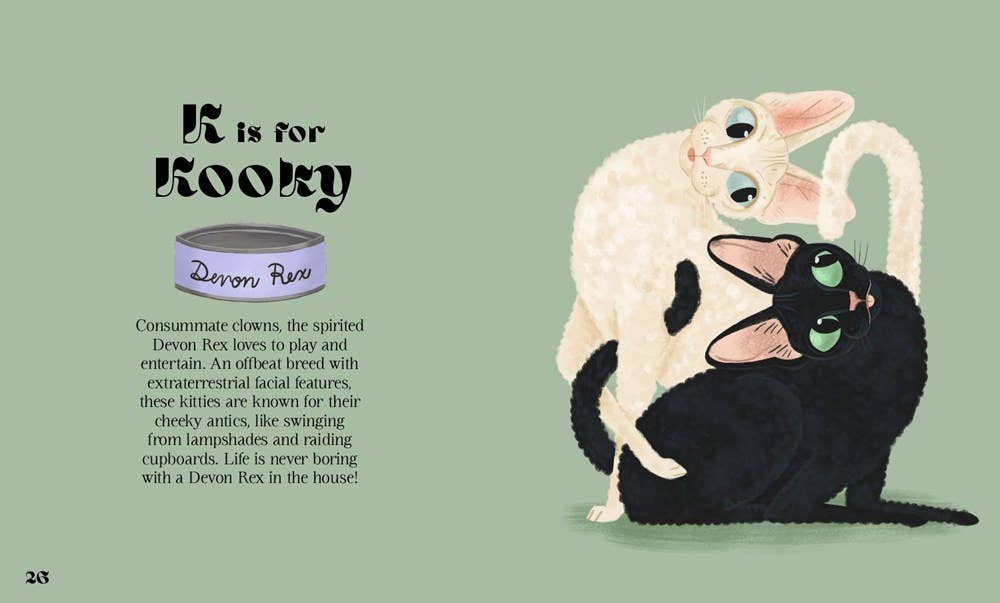 HarperCollins - Catphabet : A Cat Alphabet - Image 4
