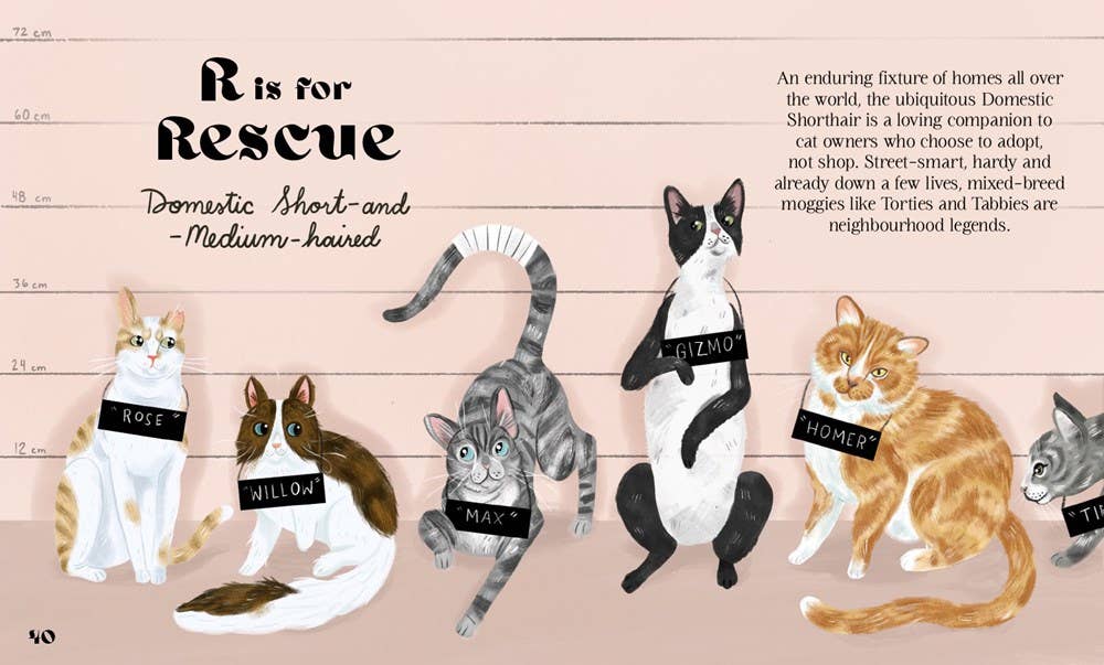 HarperCollins - Catphabet : A Cat Alphabet - Image 6