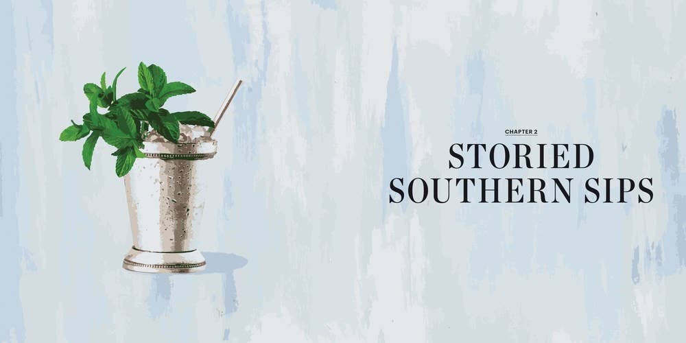Independent Publishers Group - Southern Cocktails: Hardcover / 288 - Image 2