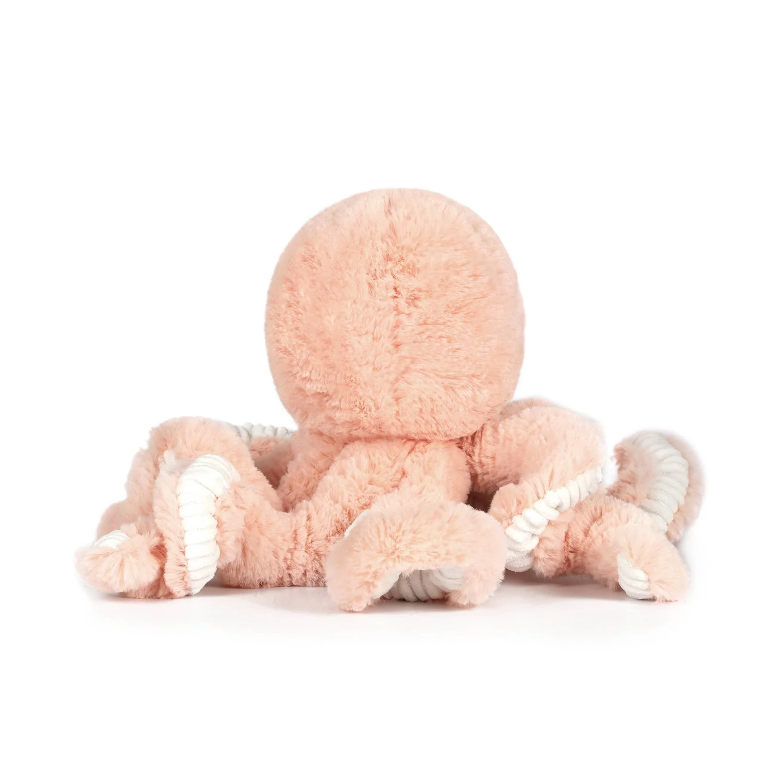 OB- Little cove octopus - Image 3