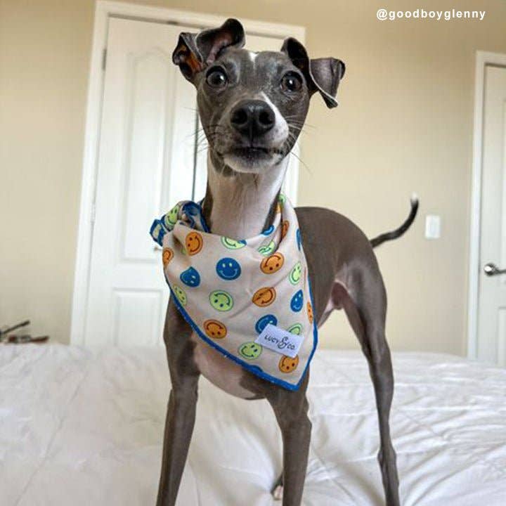 Lucy & Co. - The Good Days Bandana: Large - Image 3