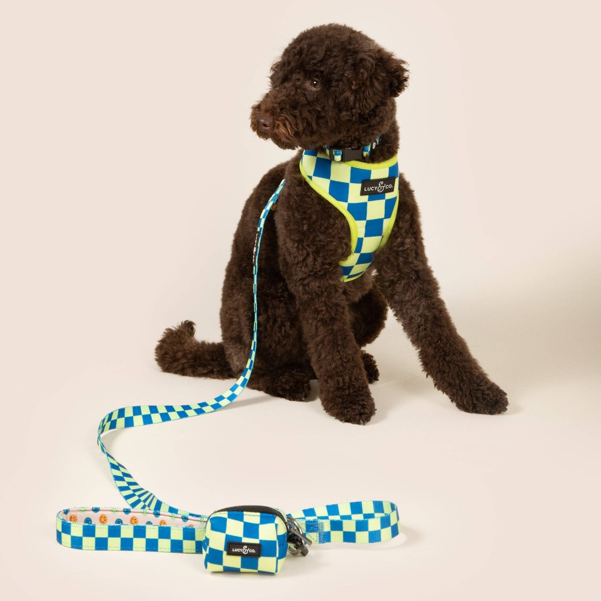Lucy & Co. - The Have a Nice Day Leash: Large - Image 2