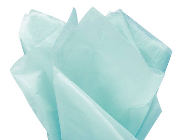 Nashville Wraps - Bulk Color Tissue Paper 20X30" Flat Packed Sheets: Birch - Image 11