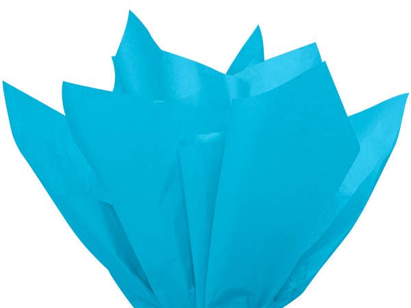 Nashville Wraps - Bulk Color Tissue Paper 20X30" Flat Packed Sheets: Birch - Image 12