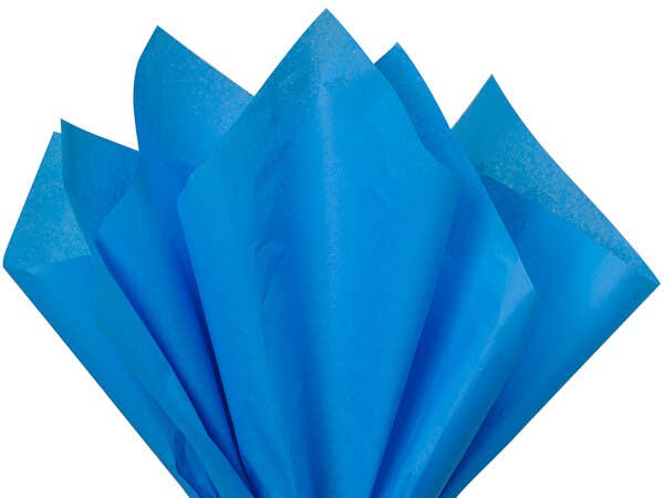 Nashville Wraps - Bulk Color Tissue Paper 20X30" Flat Packed Sheets: Birch - Image 13