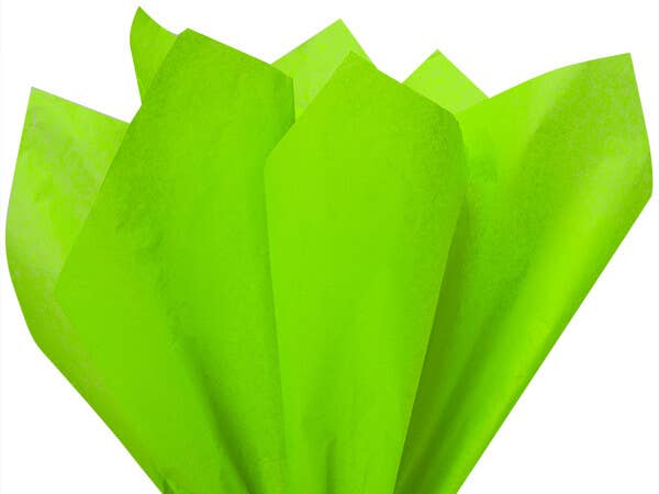 Nashville Wraps - Bulk Color Tissue Paper 20X30" Flat Packed Sheets: Birch - Image 14