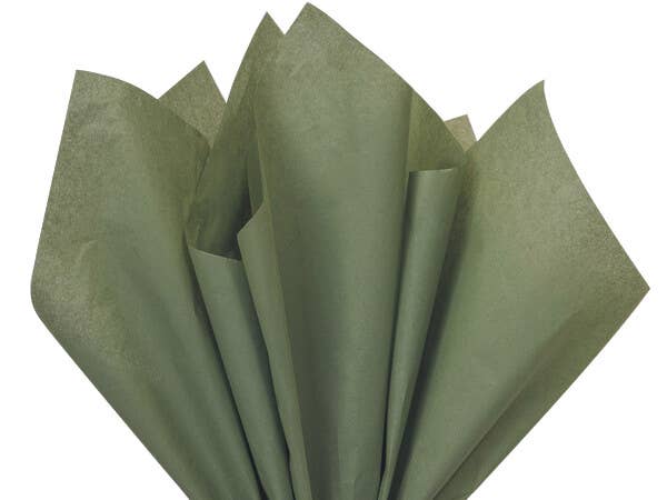 Nashville Wraps - Bulk Color Tissue Paper 20X30" Flat Packed Sheets: Birch - Image 15