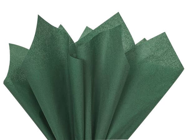 Nashville Wraps - Bulk Color Tissue Paper 20X30" Flat Packed Sheets: Birch - Image 16