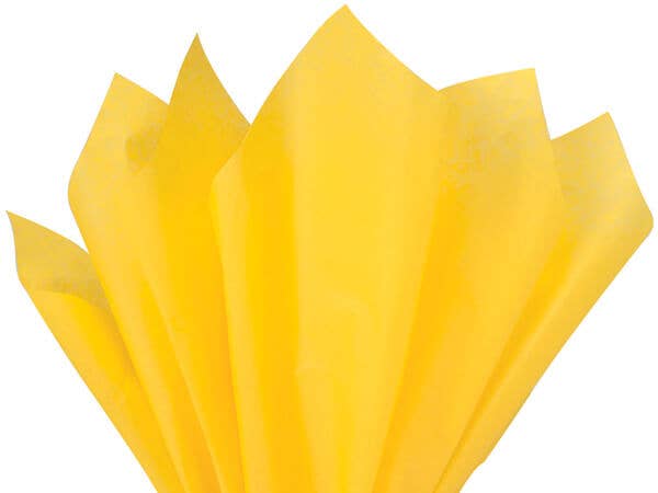Nashville Wraps - Bulk Color Tissue Paper 20X30" Flat Packed Sheets: Birch - Image 17
