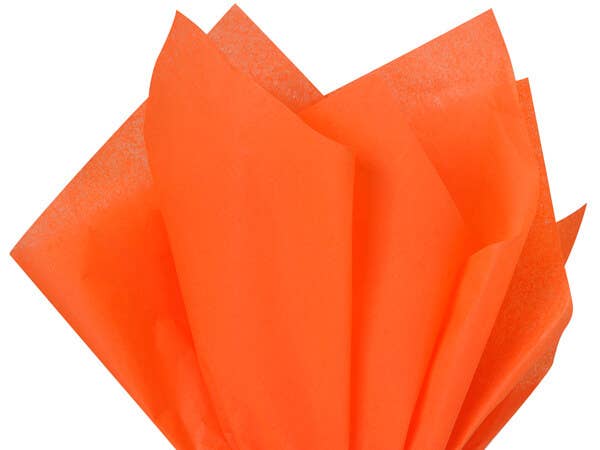 Nashville Wraps - Bulk Color Tissue Paper 20X30" Flat Packed Sheets: Birch - Image 18