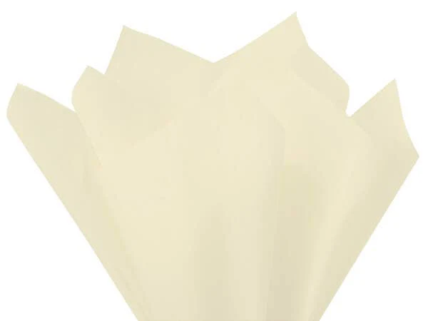 Nashville Wraps - Bulk Color Tissue Paper 20X30" Flat Packed Sheets: Birch - Image 19