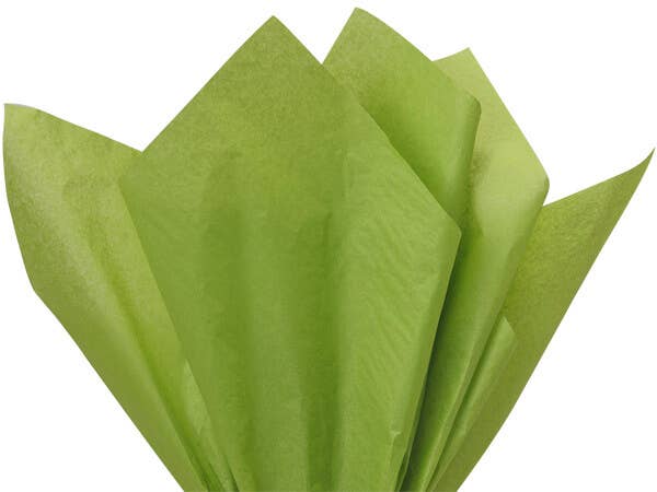 Nashville Wraps - Bulk Color Tissue Paper 20X30" Flat Packed Sheets: Birch - Image 2