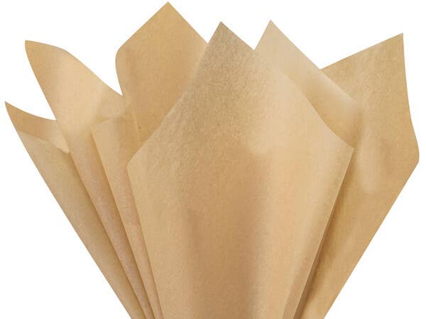 Nashville Wraps - Bulk Color Tissue Paper 20X30" Flat Packed Sheets: Birch - Image 21
