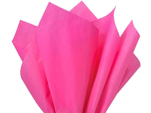 Nashville Wraps - Bulk Color Tissue Paper 20X30" Flat Packed Sheets: Birch - Image 4