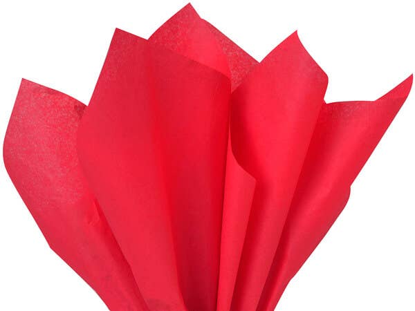 Nashville Wraps - Bulk Color Tissue Paper 20X30" Flat Packed Sheets: Birch - Image 7