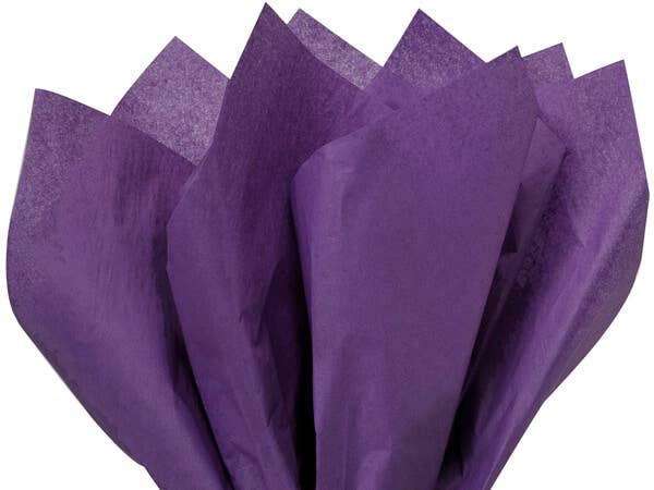 Nashville Wraps - Bulk Color Tissue Paper 20X30" Flat Packed Sheets: Birch - Image 9