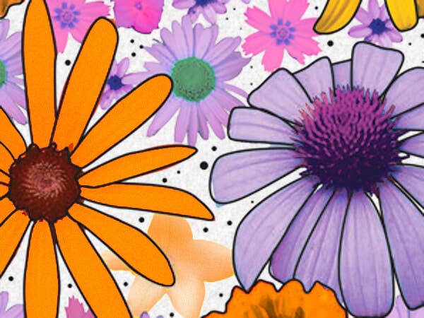 Nashville Wraps - Floral & Nature Print Tissue Paper Sheets: Backyard Bird & Blossoms / 240 Pack / 20x30" - Image 20