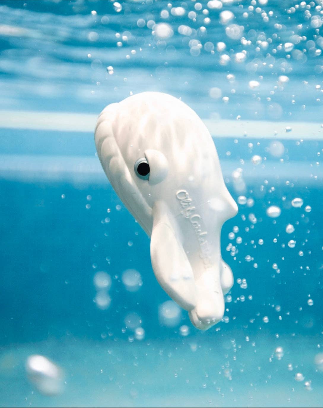 Oli & Carol - Walter the Whale - Image 3