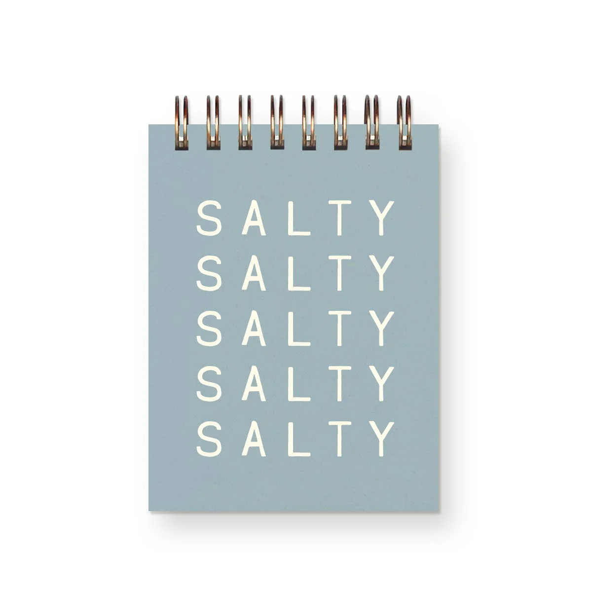 Ruff House Print Shop - Salty Salty Mini Notebook