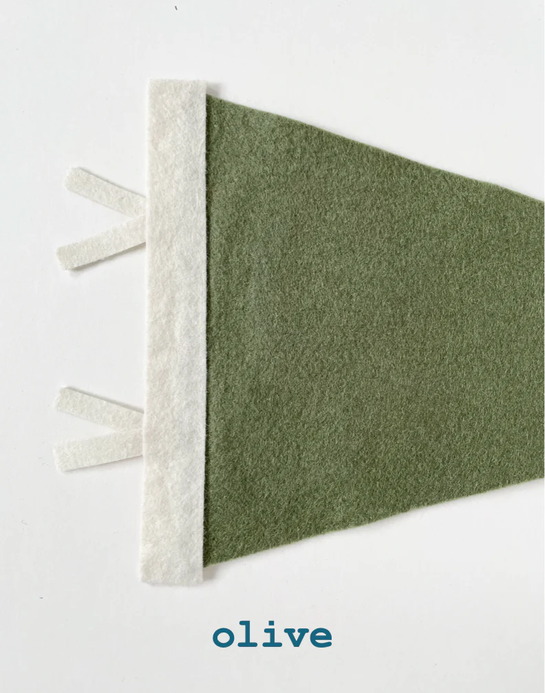 St. Pete pennant- all colors - Image 15
