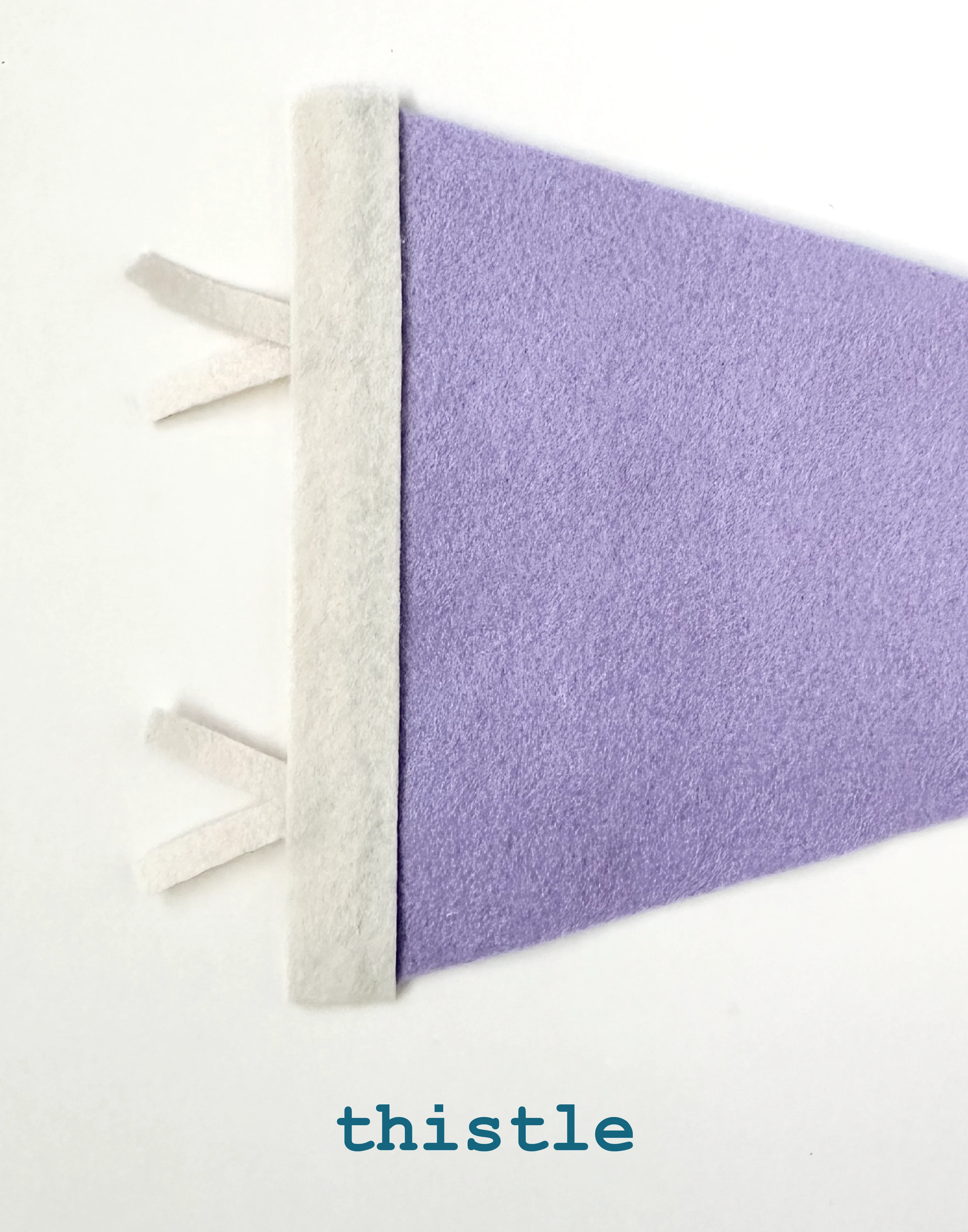 St. Pete pennant- all colors - Image 17