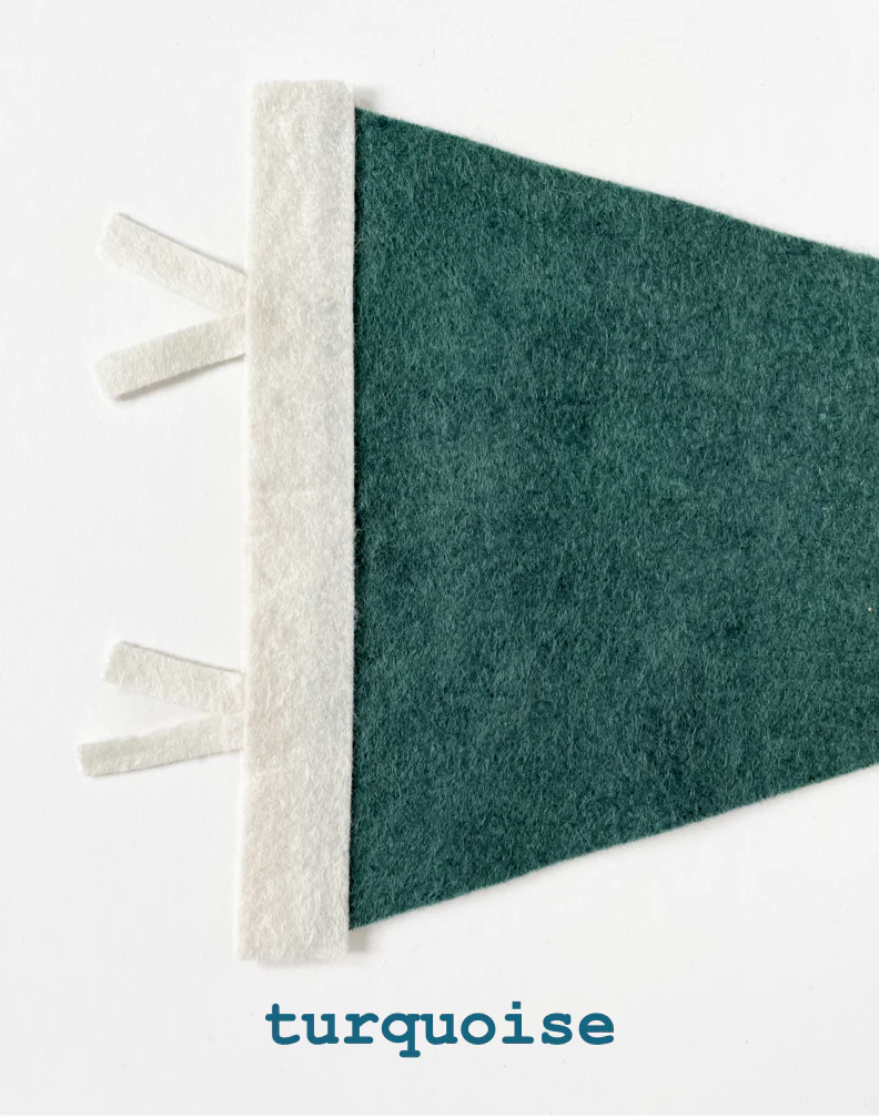St. Pete pennant- all colors - Image 18