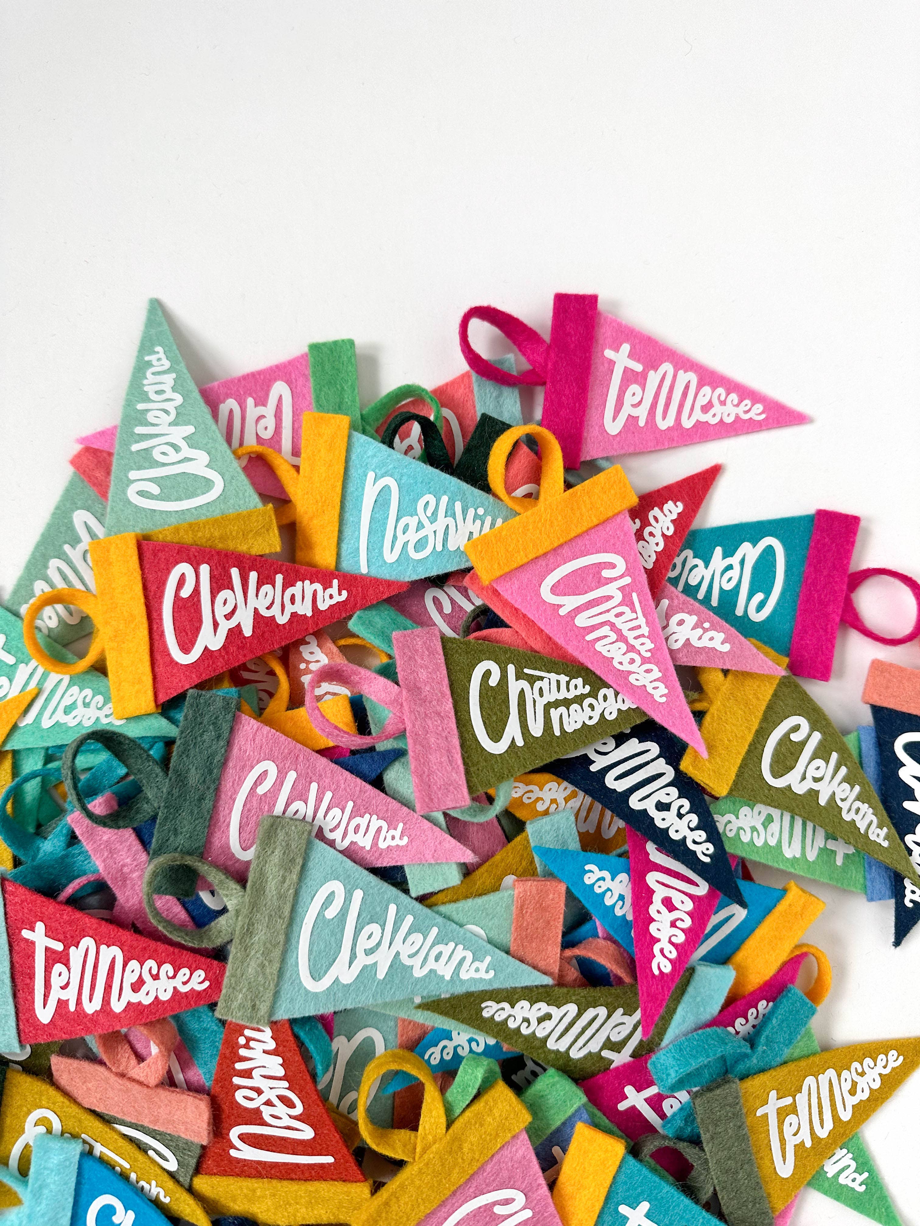 St. Pete mini pennant- all colors - Image 11
