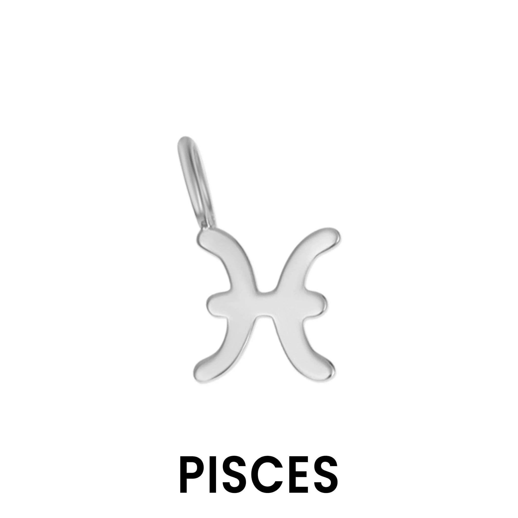 Weld Magic Solid Sterling Silver Zodiac Charms - Image 14