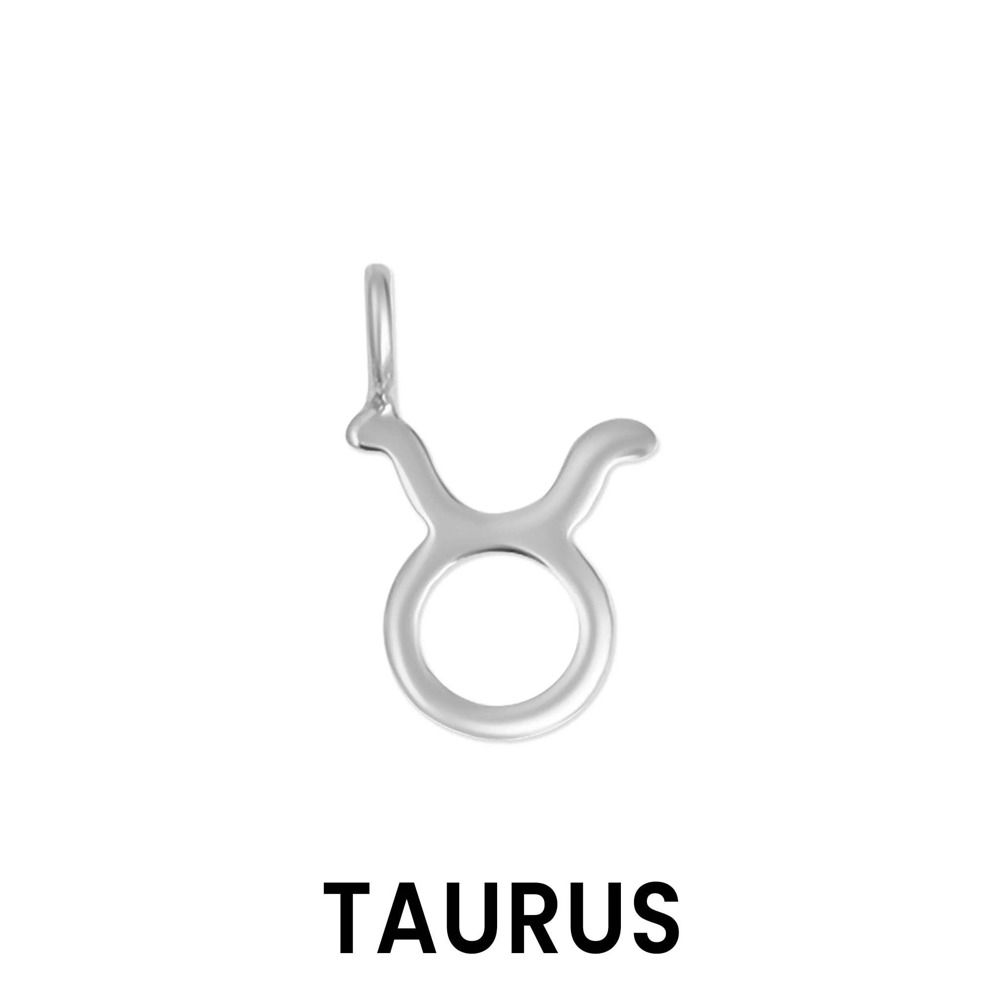 Weld Magic Solid Sterling Silver Zodiac Charms - Image 17