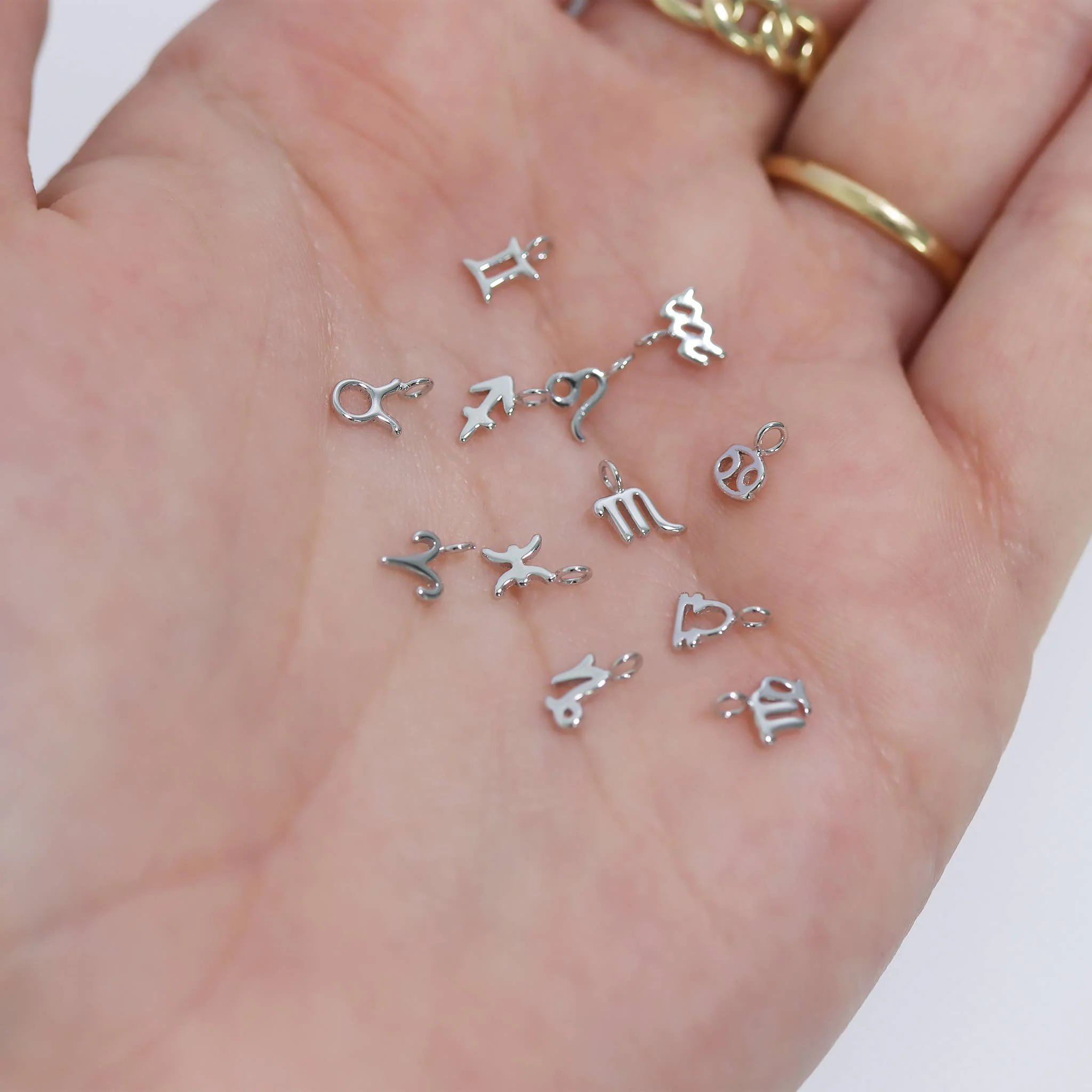 Weld Magic Solid Sterling Silver Zodiac Charms - Image 5